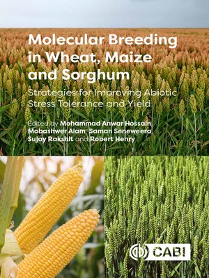 cover image of Molecular Breeding in Wheat, Maize and Sorghum
